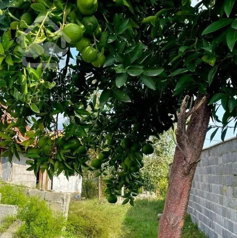 ۳۰۵ مترخانه محوطه جنگلی بکر جلو رودخانه بر آسفالت