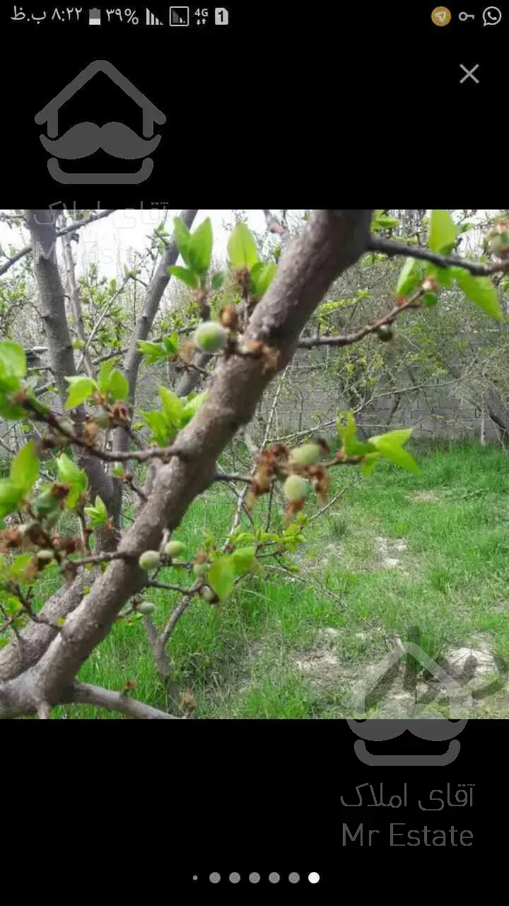 ۱۵۴۰مترباغ گلبرگ