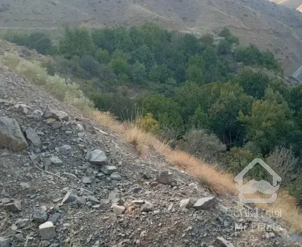 زمین با ویو  برای باغ