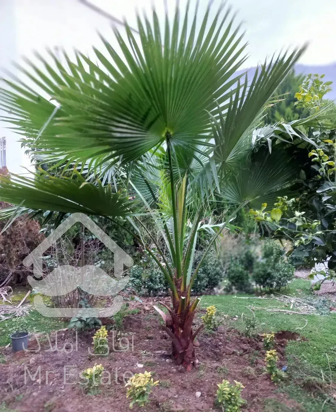 ویلای نوساز  تمیز دربست سرولات