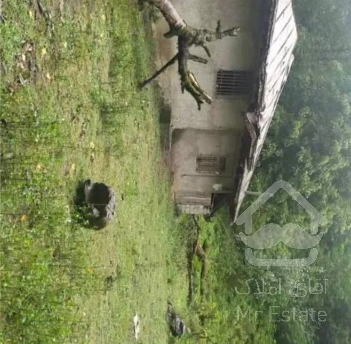 زمین در املش