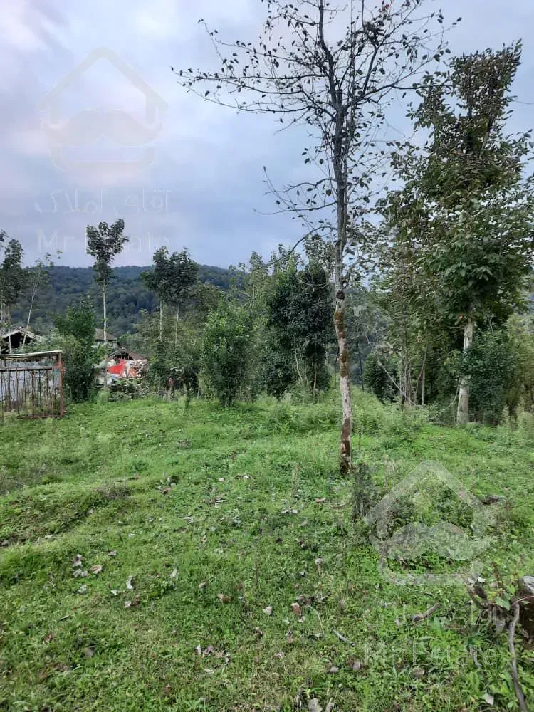 فروش زمین با ویوی عالی و قیمت باورنکردنی