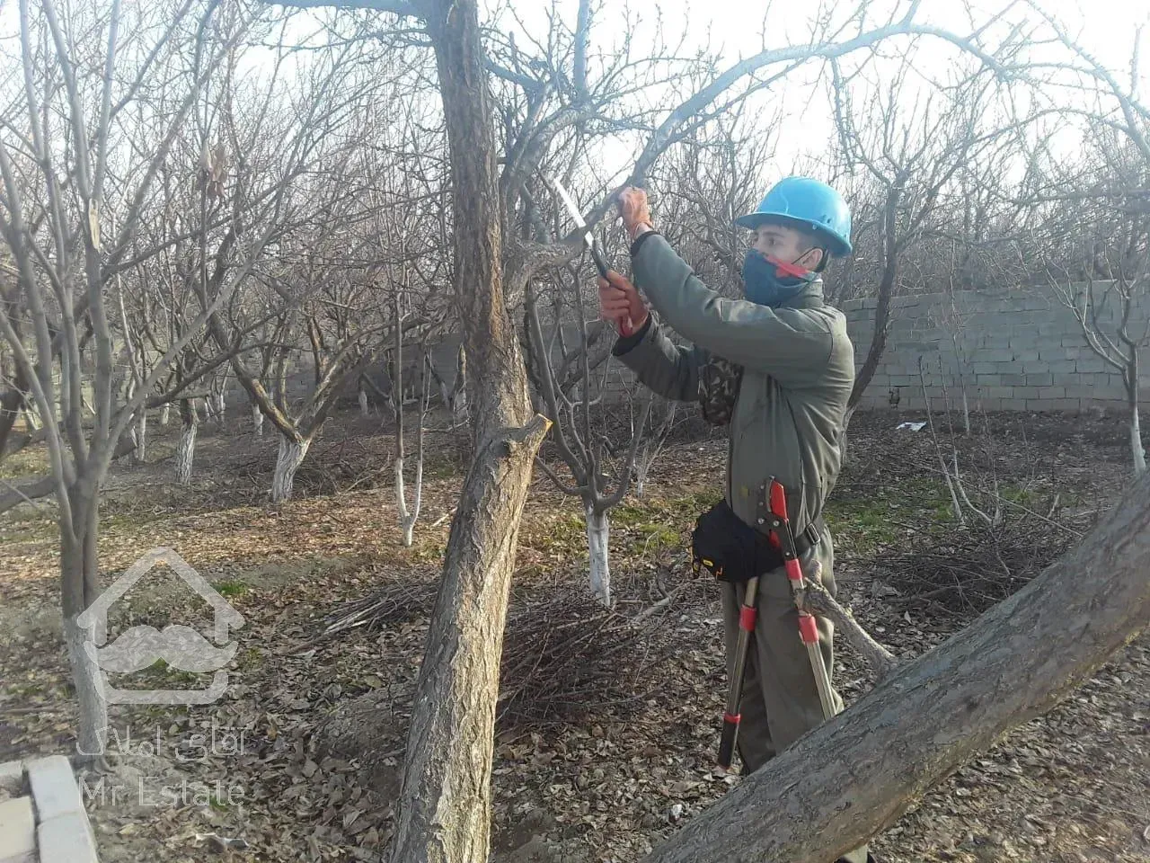 باغبانی سمپاشی محلول پاشی گلکاری چمن کاری
