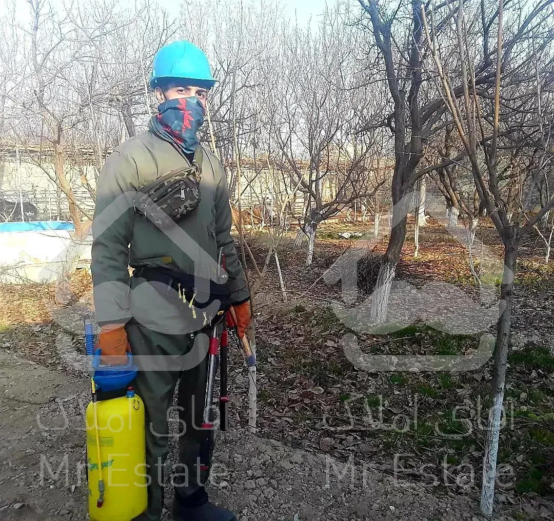 باغبانی سمپاشی محلول پاشی گلکاری چمن کاری