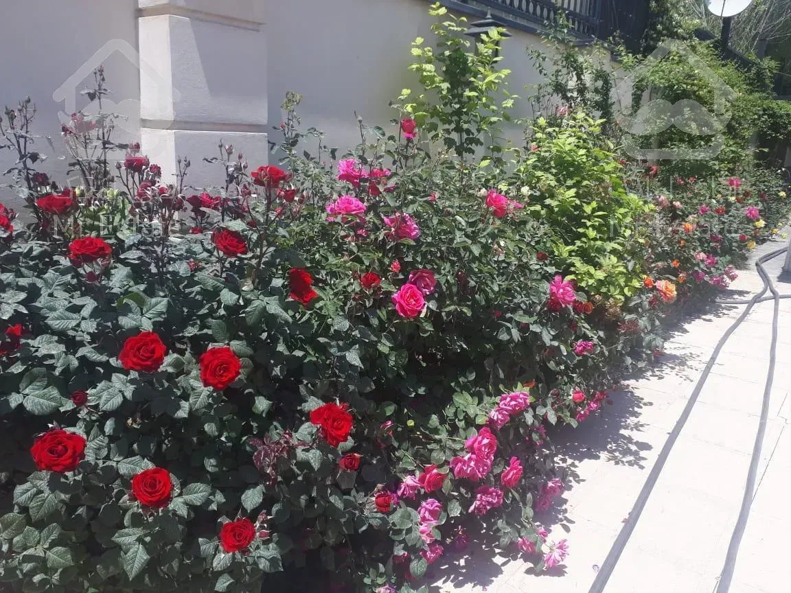 باغبانی سمپاشی محلول پاشی گلکاری چمن کاری