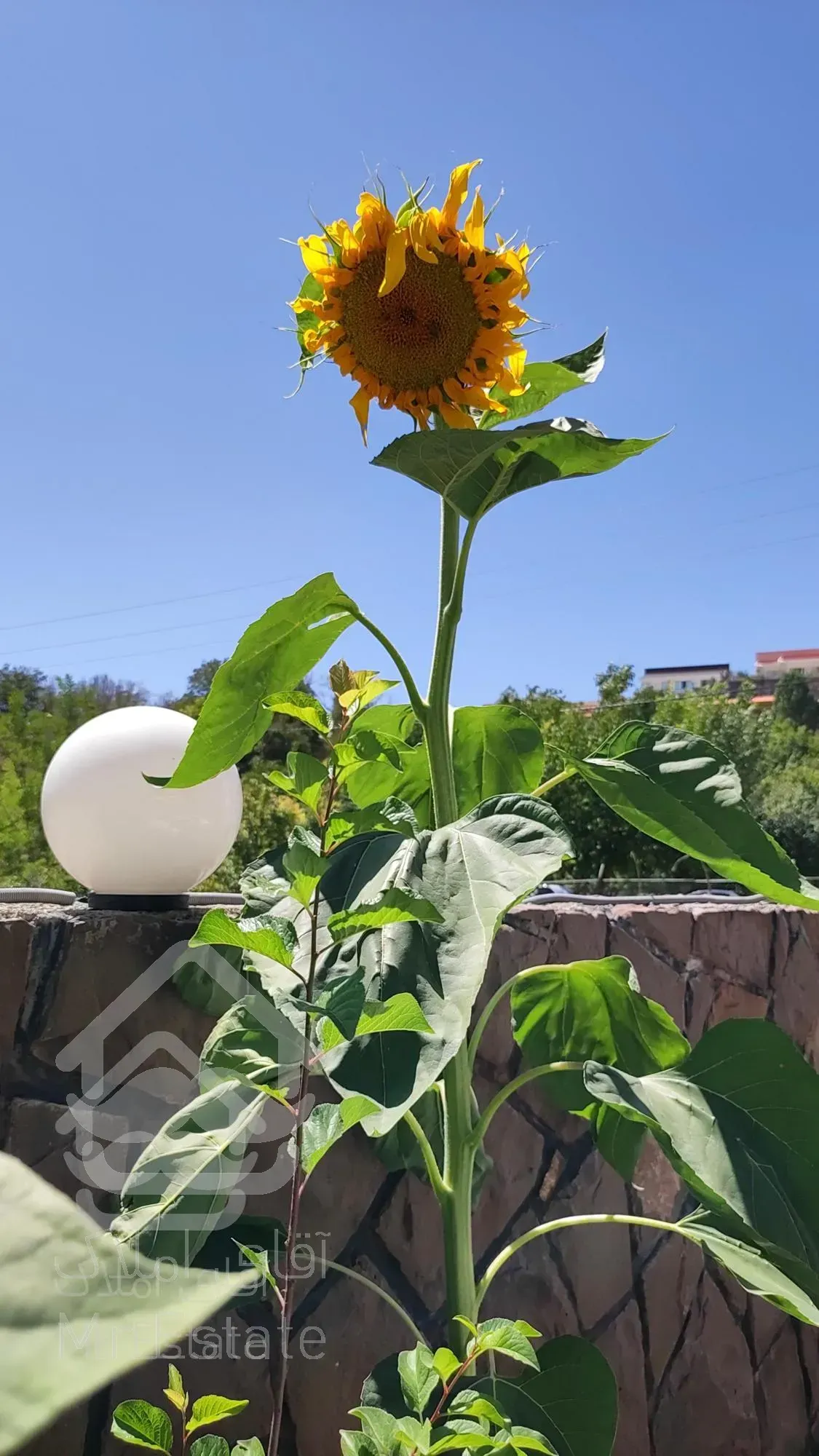 اجاره ویلا دوبلکس در دماوند