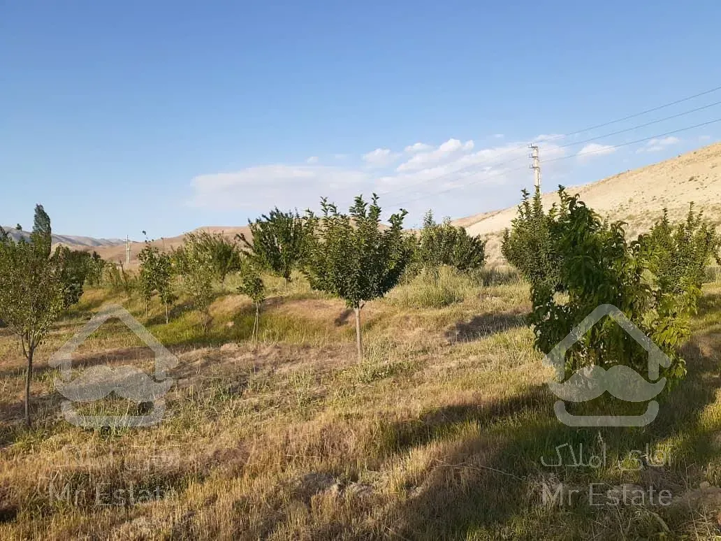 فروش باغ با انواع درختان مثمر