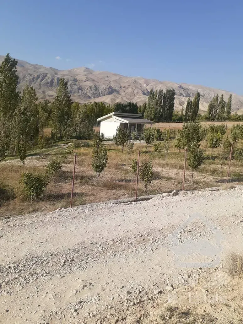 فروش باغ با انواع درختان مثمر