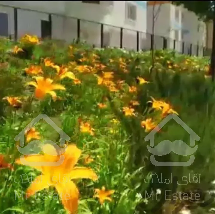 ۸۱متر ۱خواب همراهشهر، چیتگر