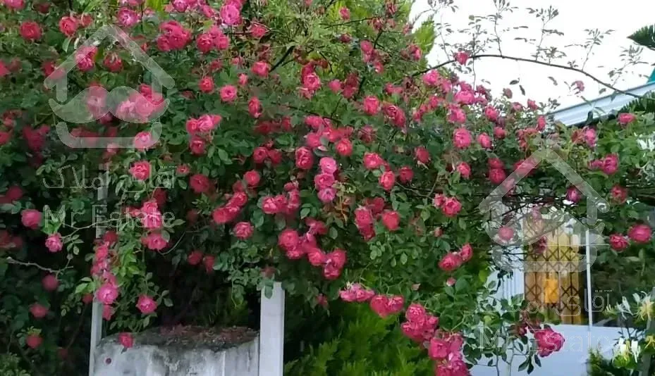 فروش ویلا باغ