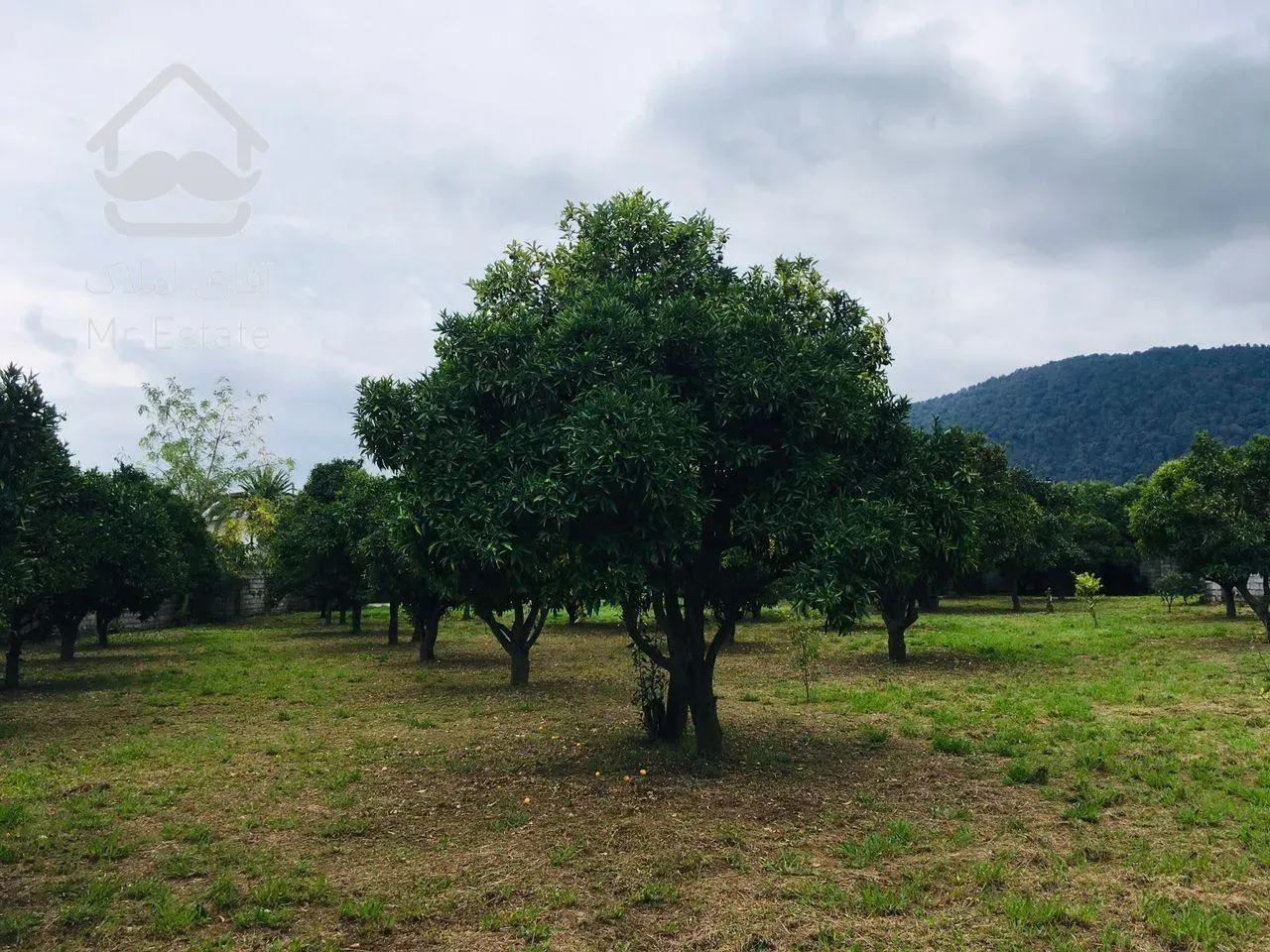 زمین،۳۳۴۸متر،چابکسر