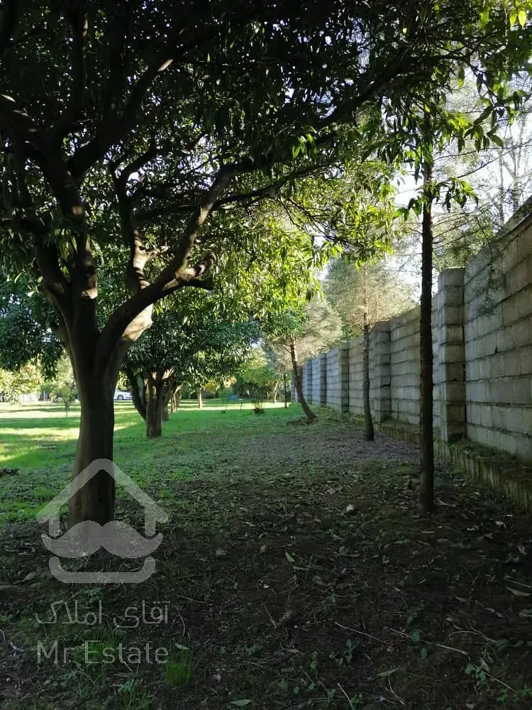 فروش  باغ مرکبات ۳۳۴۸ متری در سرولات چابکسر - موقعیت عالی، سند شش دانگ"