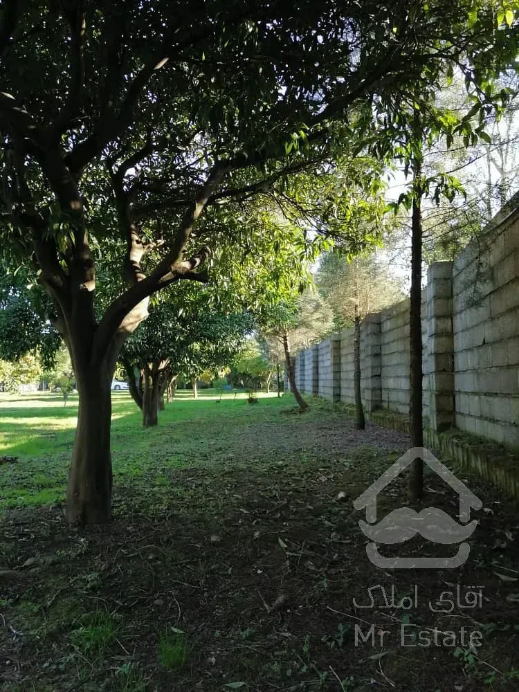 باغ مرکبات ۳۳۴۸متری درچابکسرسرولات