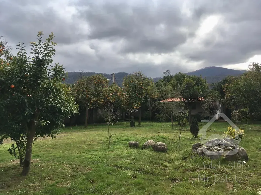 فروش باغ مرکبات ۳۳۴۸متردرچابکسرسرولات موقعیت عالی سندتک برگ