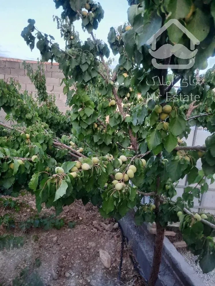 تهاتر ویلا باغ ۶۷۰ متری/ سند تک برگ