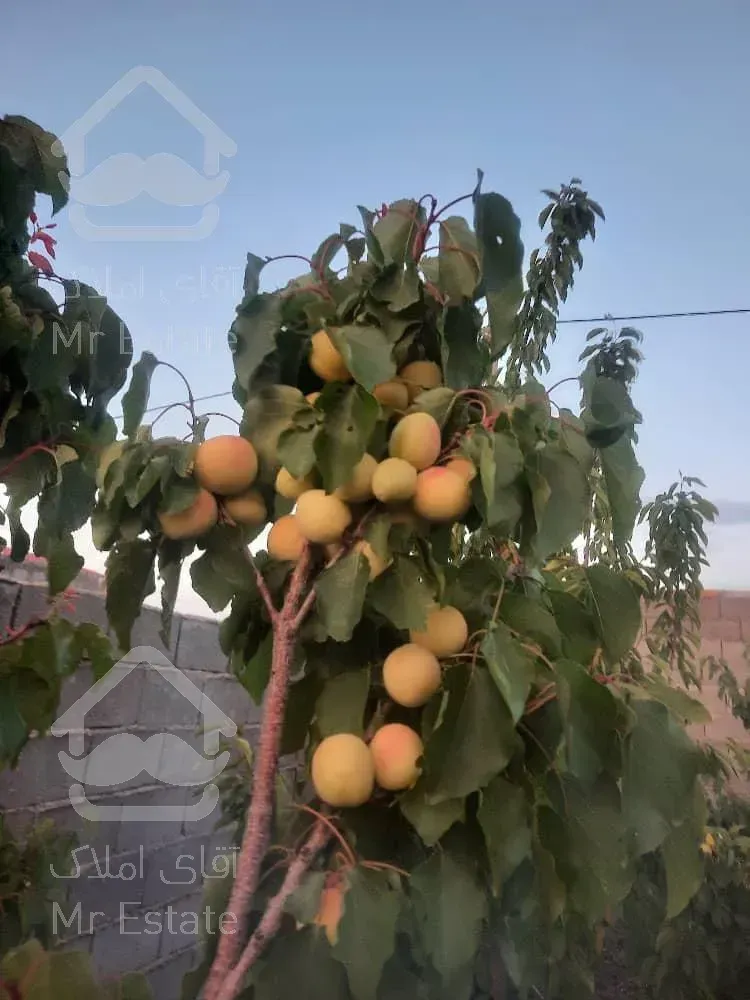 تهاتر ویلا باغ ۶۷۰ متری/ سند تک برگ