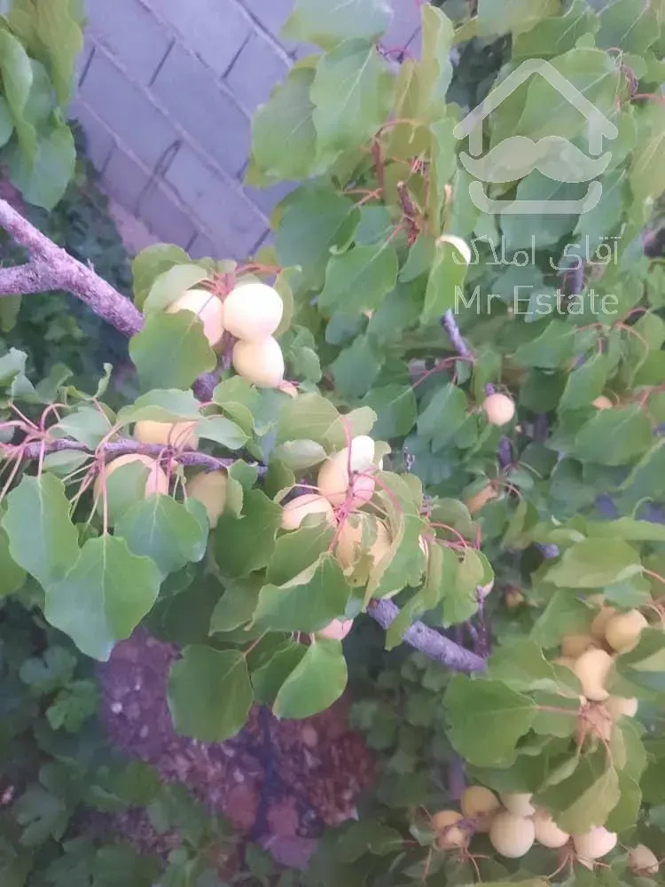 تهاتر ویلا باغ ۶۷۰ متری/ سند تک برگ