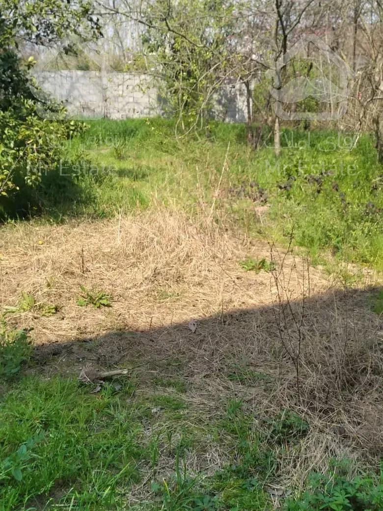 امروز خانه کلنگی