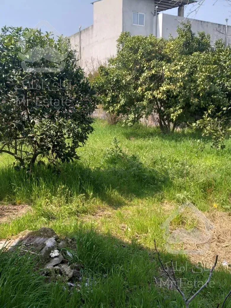 امروز خانه کلنگی