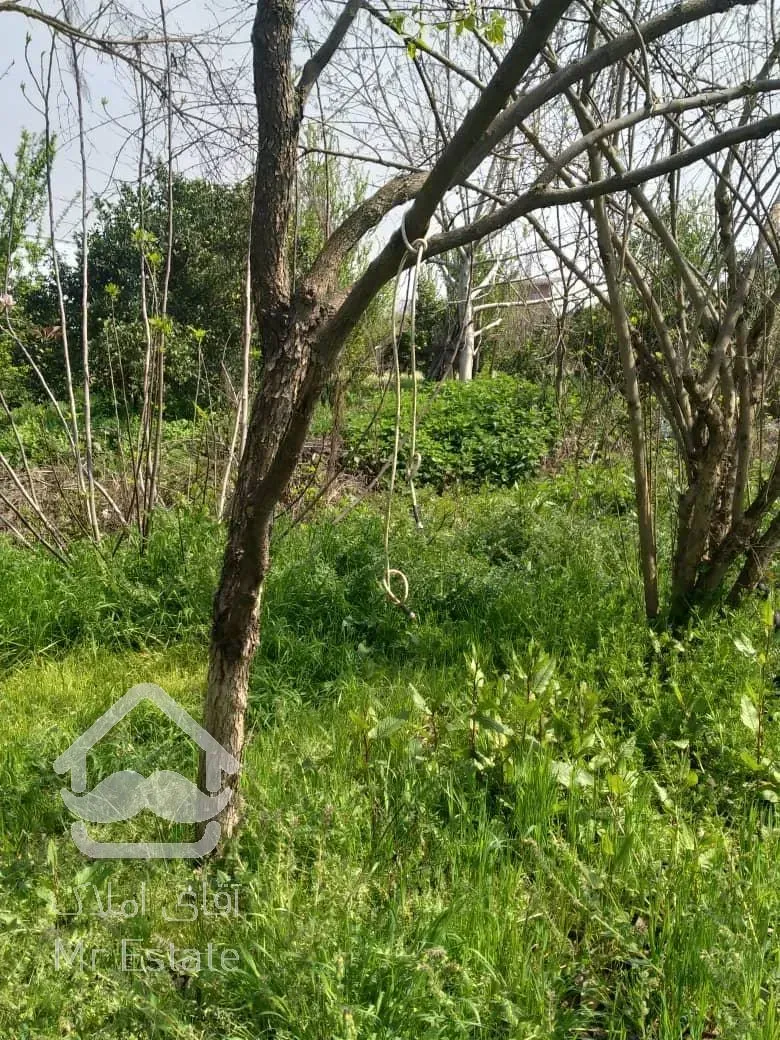 امروز خانه کلنگی