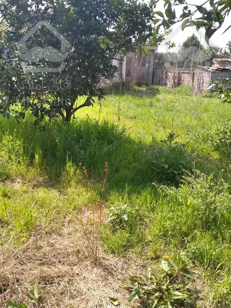 امروز خانه کلنگی