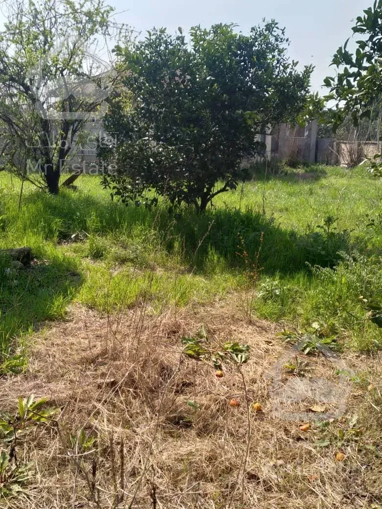 امروز خانه کلنگی