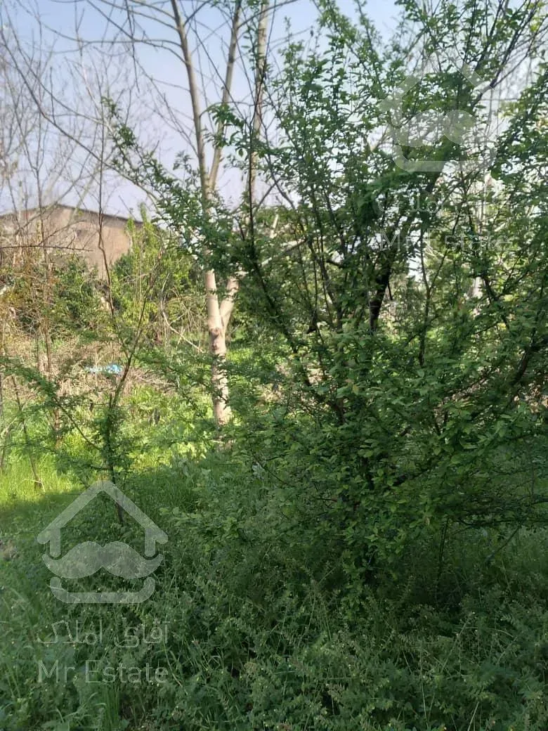 امروز خانه کلنگی