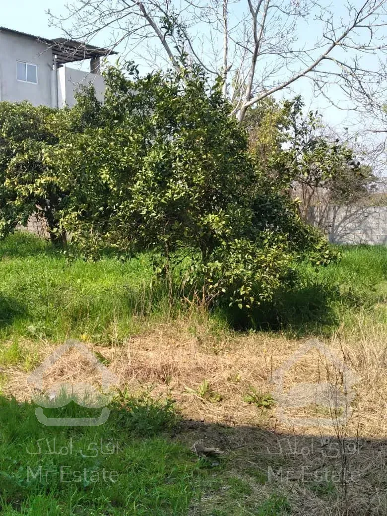 امروز خانه کلنگی