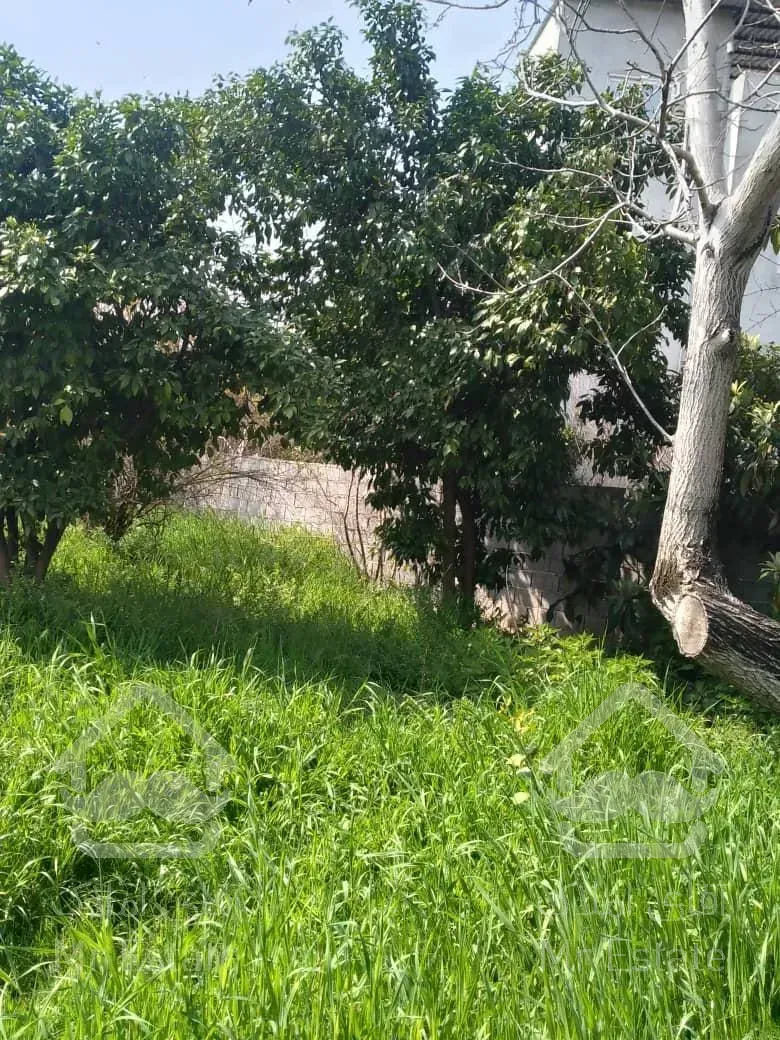 امروز خانه کلنگی