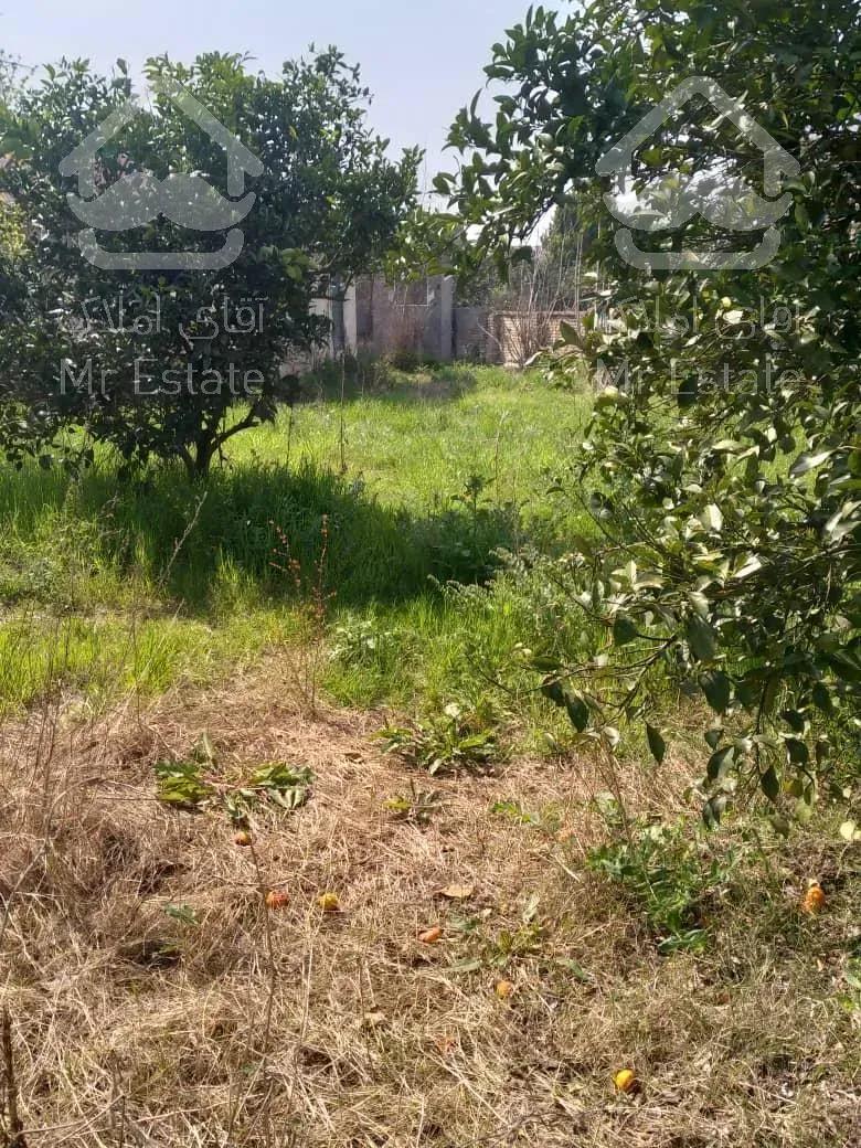 امروز خانه کلنگی