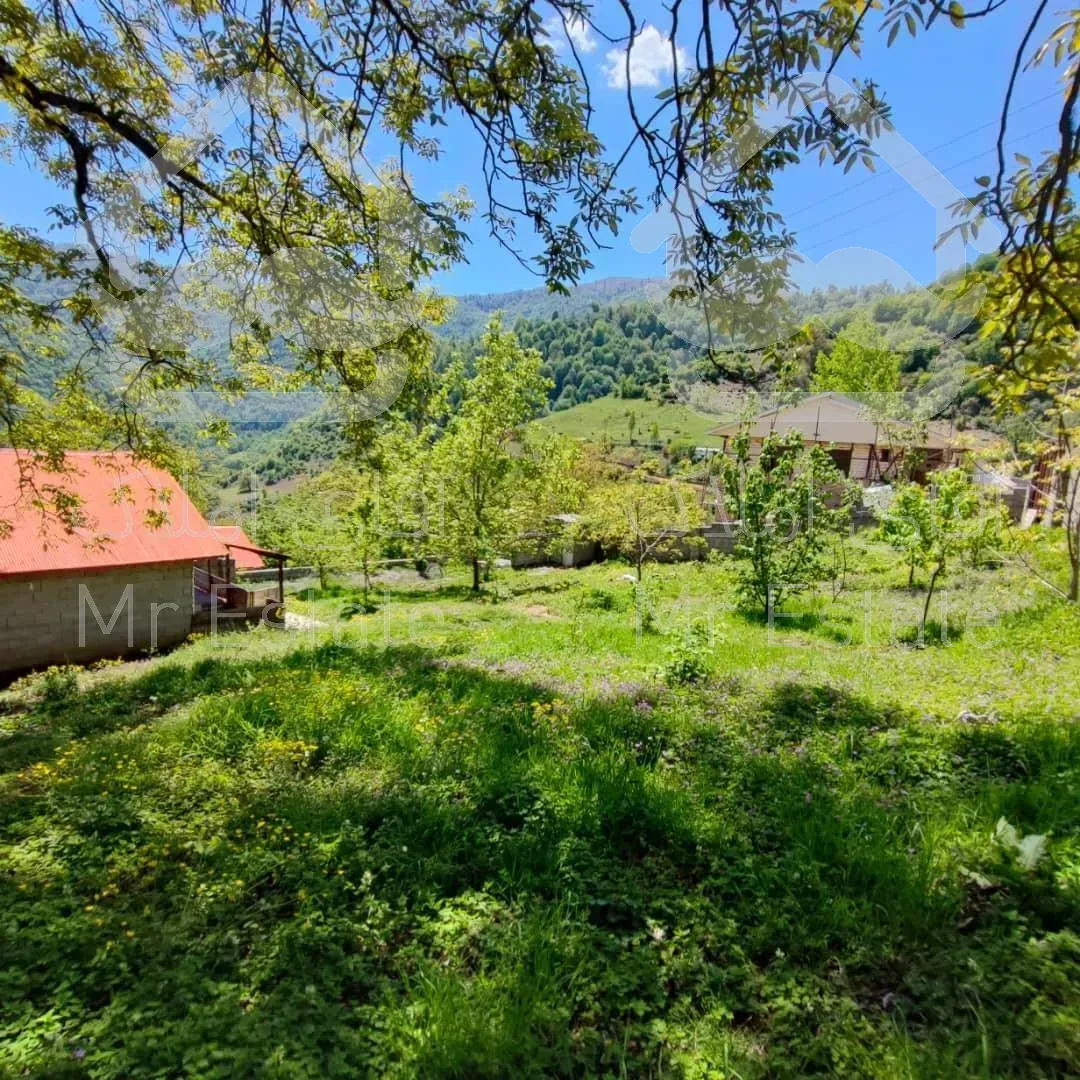 فروش ویژه زمین در گیلان/رضوانشهر