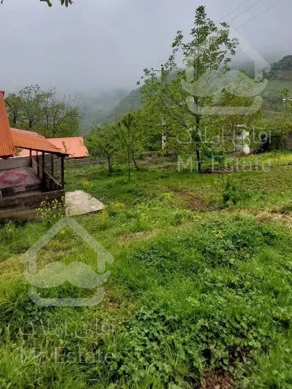 فروش ویژه زمین در گیلان/رضوانشهر