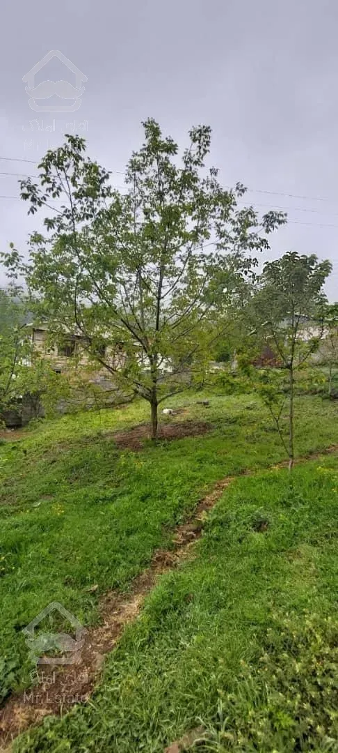 فروش ویژه زمین در گیلان/رضوانشهر