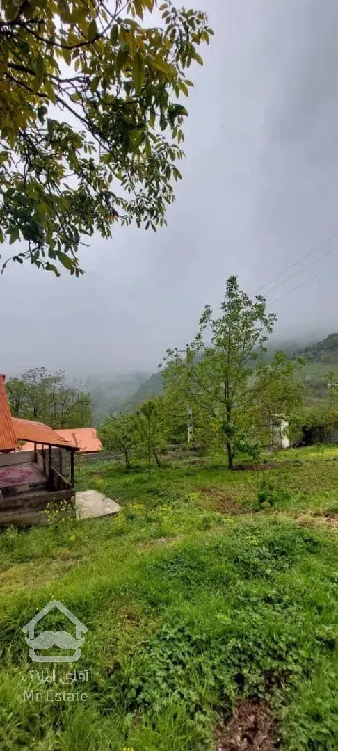 فروش ویژه زمین در گیلان/رضوانشهر