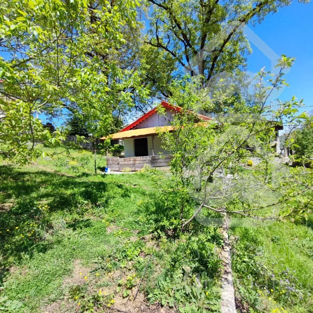 فروش ویژه زمین در گیلان/رضوانشهر