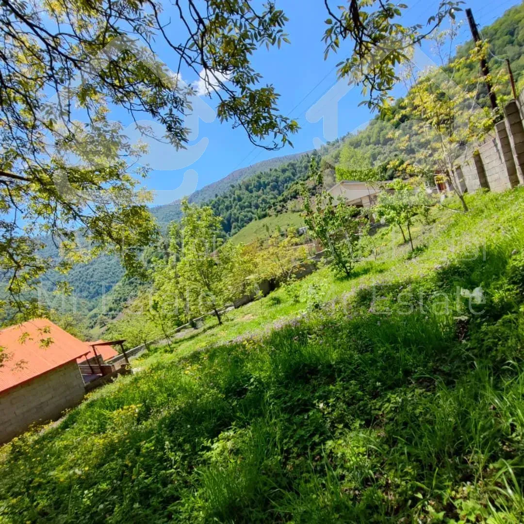 فروش ویژه زمین در گیلان/رضوانشهر