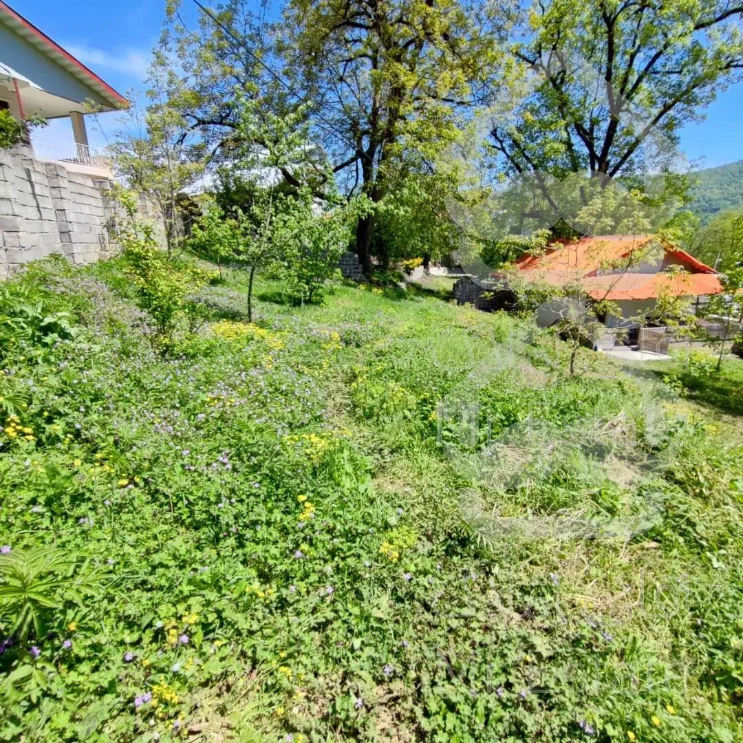 فروش ویژه زمین در گیلان/رضوانشهر