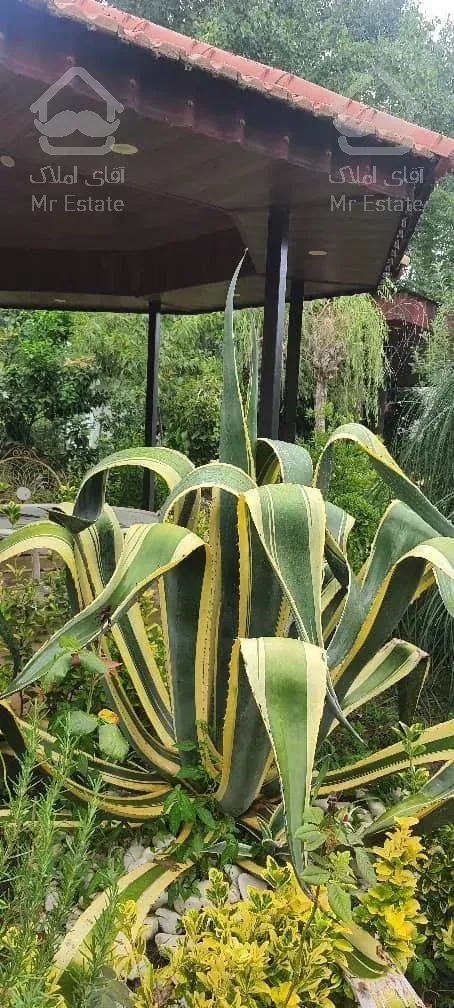 فروش ومعاوضه ویلا فول امکانات