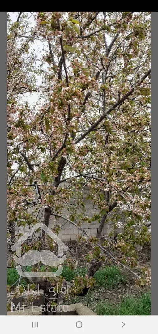 باغچه ۵۰۰ متری. باغستان شهریار