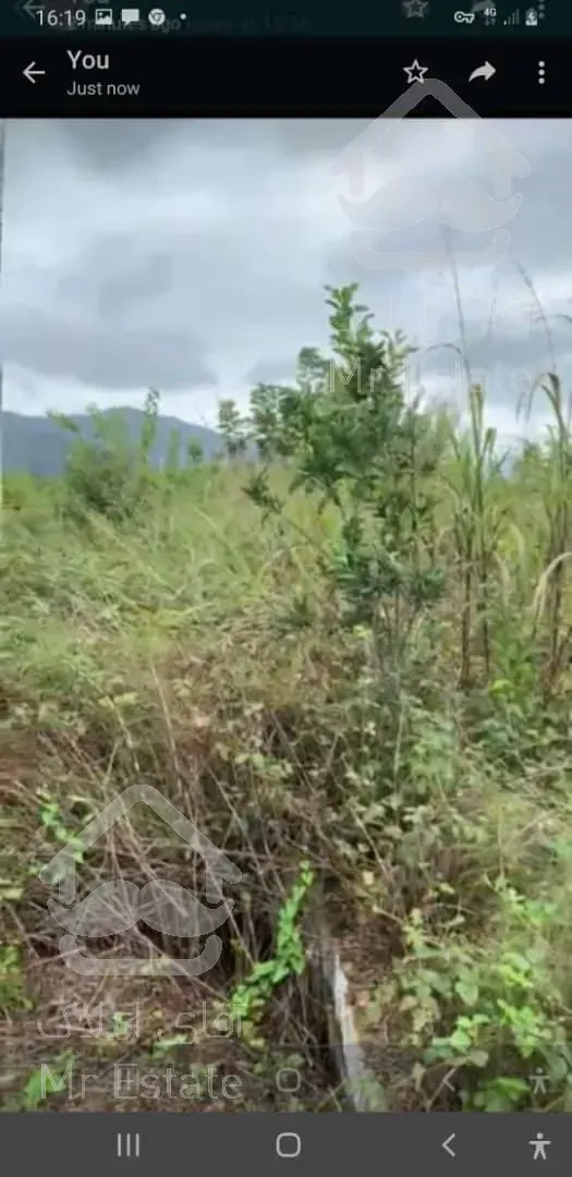 زمین ۲۰۰۰متری با پروانه ساخت