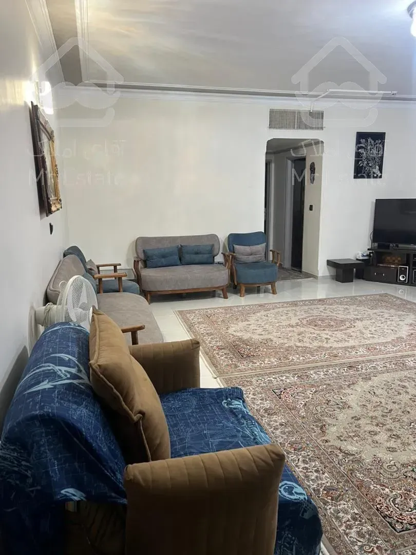 65متری باغ فیض