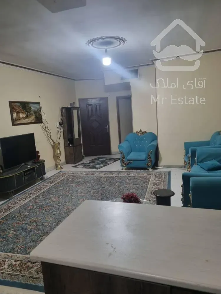 باغ فیض ۶۵ متری نقلی