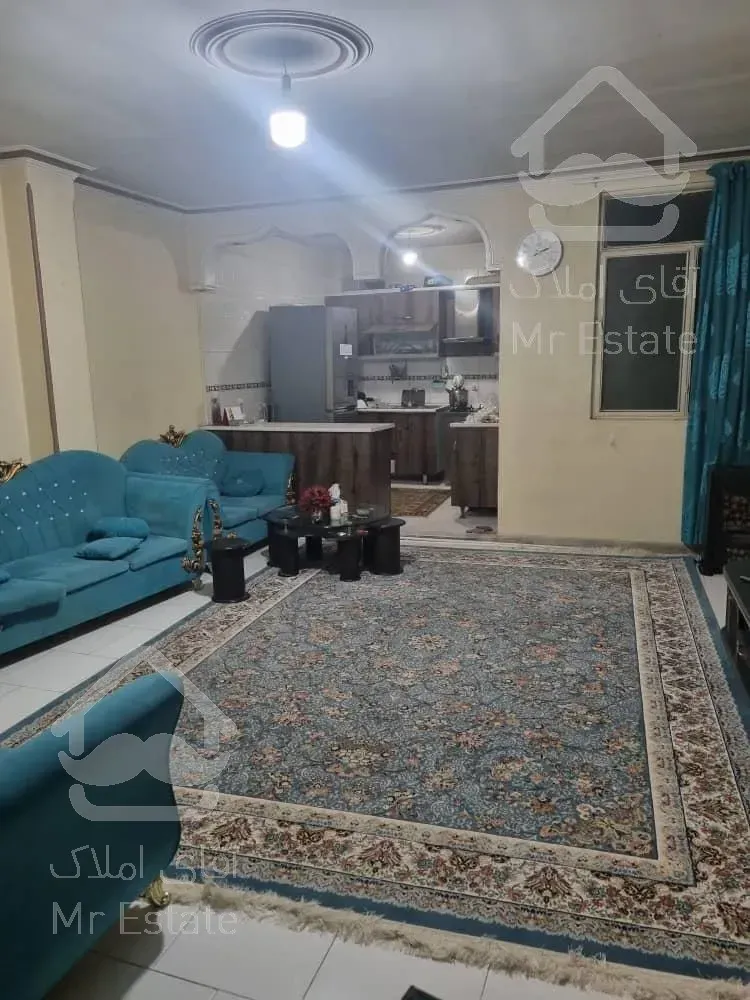 باغ فیض ۶۵ متری نقلی