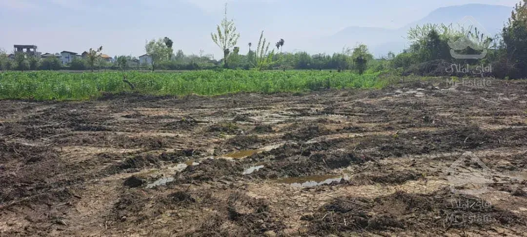 زمین مازندران کرکاس