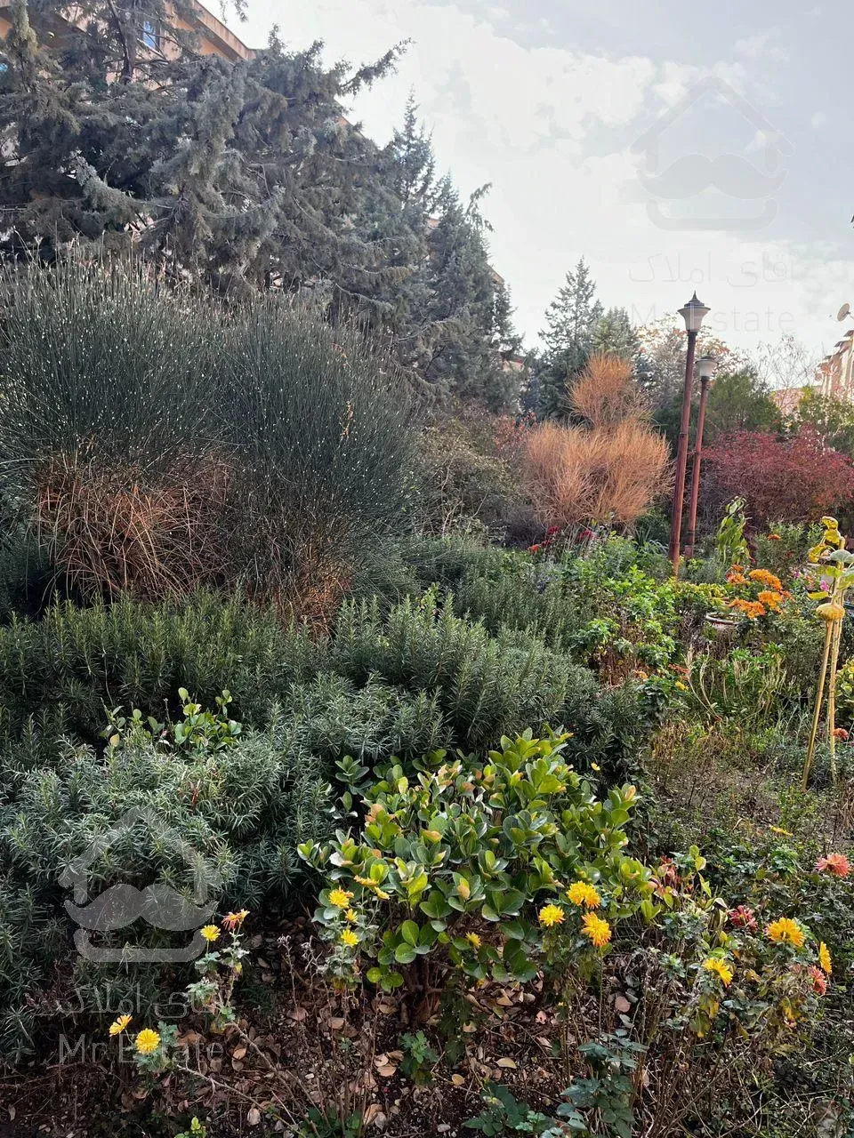 شهرک غرب/170متر/لوکس و زیبا