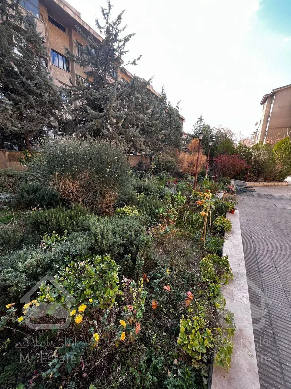 شهرک غرب/170متر/لوکس و زیبا