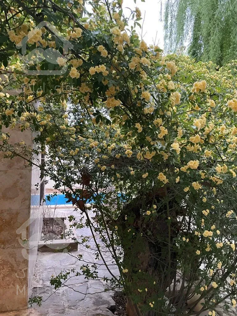 ثبت‌نام پروژه لوکس پاسارگادرینگ دریاچه ۱۲۰متر۲خواب