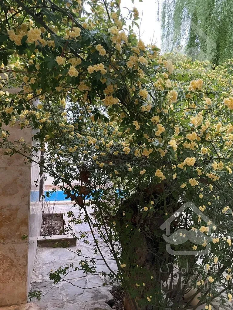 ثبت نام پروژه عظیم مسکونی تجاری پاسارگاد۸۰و۱۲۰متری