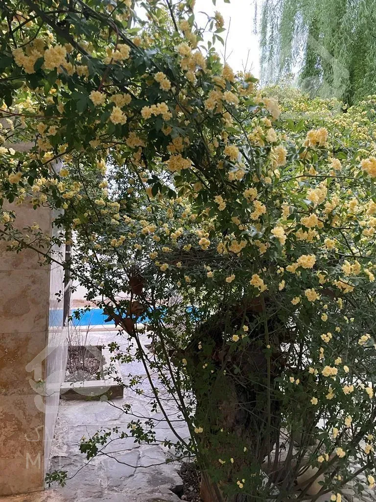 ثبت‌نام برج مجلل مسکونی تجاری پاسارگاد ۸۰و۱۲۰متری۲خواب