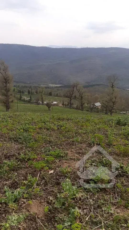 زمین خارج بافت